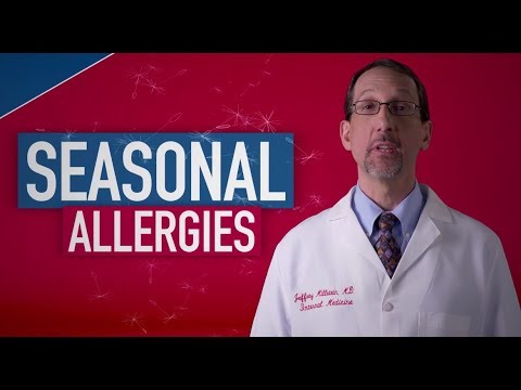Seasonal Allergies: Fact or Fiction with Dr. Jeff Millstein