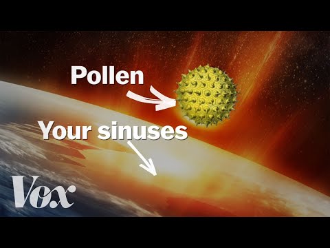 Why your allergies get worse every year