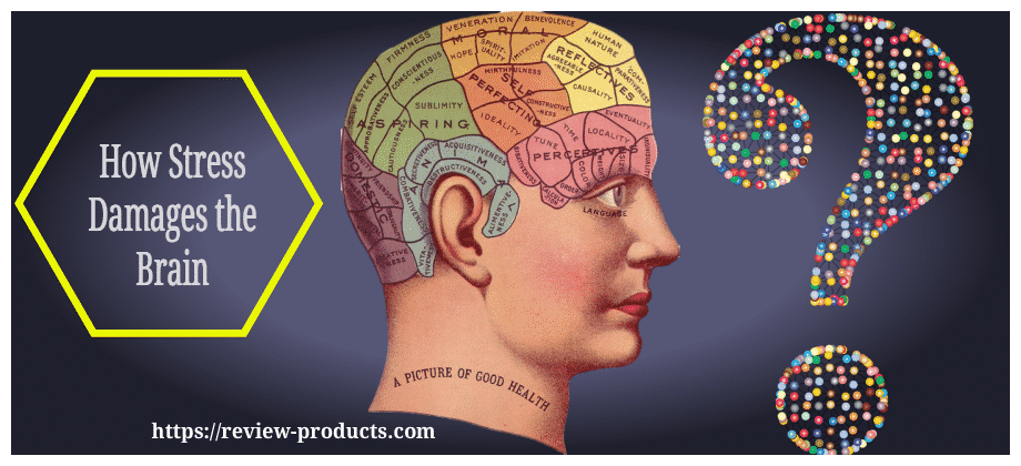 How Stress Damages the Brain. Is this the reason why 4 Hours rest but for reasons unknown you are tired?